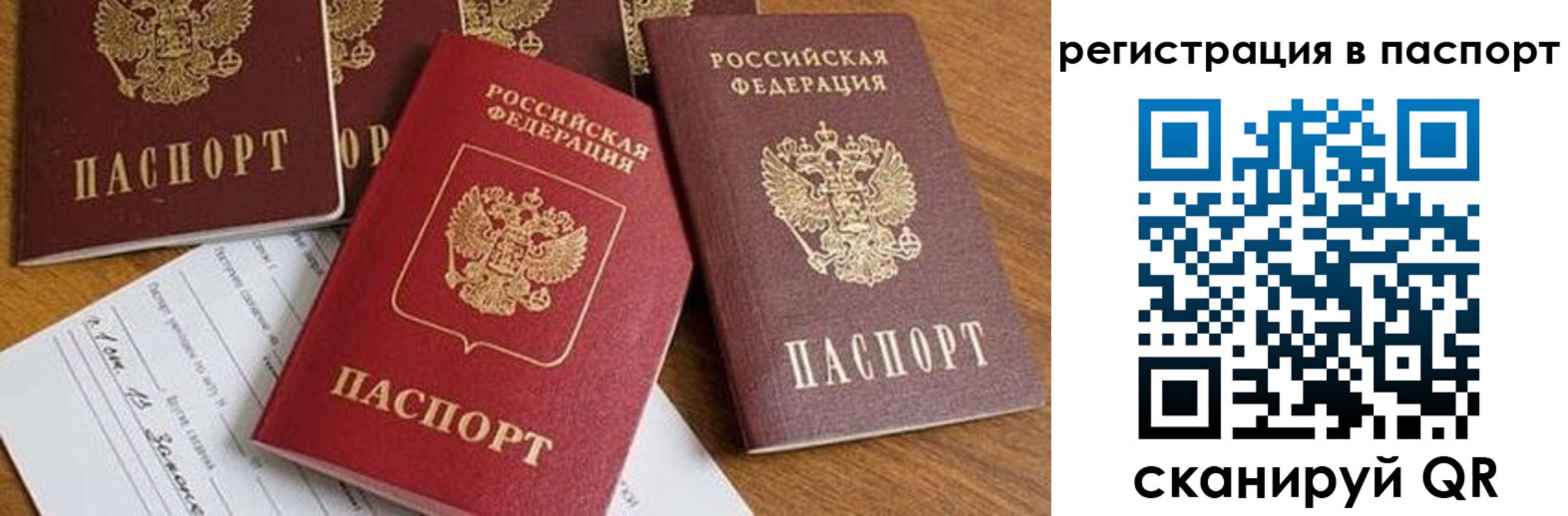 прописка в Коркино